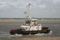 Guerande - port de Saint Nazaire - 07 juillet 2008 (6).JPG
